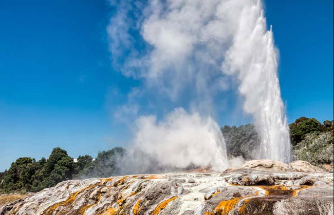 Excursion à Hobbiton et Rotorua - Photo 8
