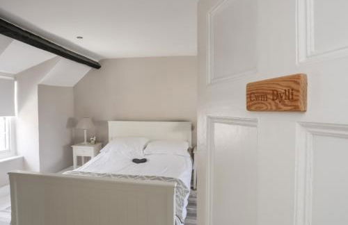 Bryn Tegid - Foto 22