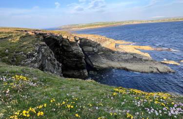 Peedie Cott Self-Catering, Orkney - Photo 20