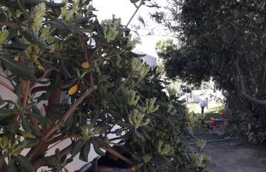 Silvi Mari Apartments - Foto 33