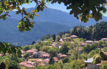 ΤΟ ΑΡΧΟΝΤΙΚΟ - Photo 6