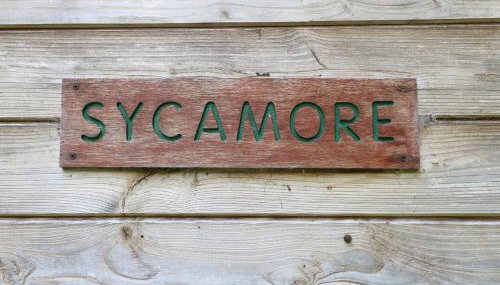 Sycamore Lodge - Foto 4