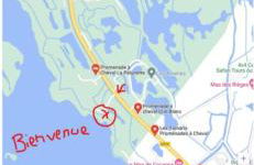 De l'eau et des oiseaux ! - Foto 18