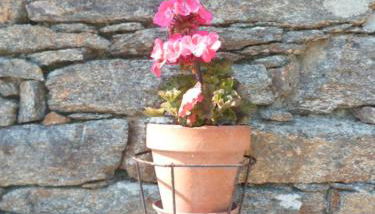 P'ty gîte de Bréharadec - Foto 3