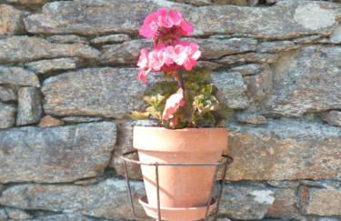 P'ty gîte de Bréharadec - Foto 3