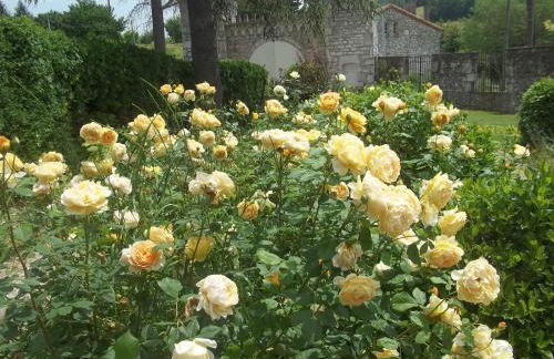 Chateau de Lamothe d'Anthe - Foto 15