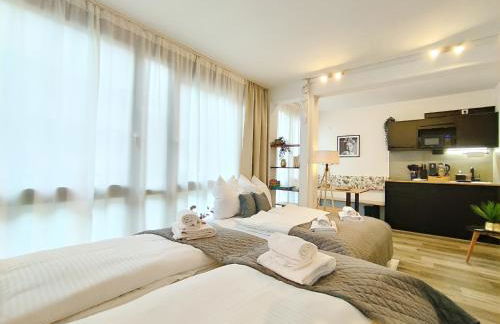 Design-Apartmenthaus für bis zu 12, modern, Dachterrasse, Grill, ruhige Lage, Disney plus, Wii, LAN und WLAN - Foto 9