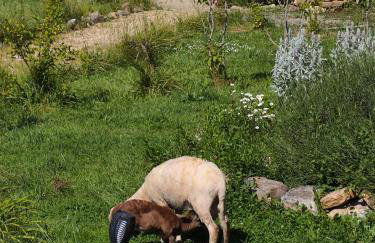 Chalet confort avec petit dejeuner - Foto 40