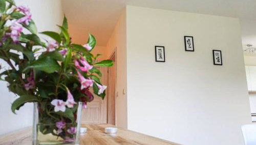 Apartament Hubertus - Foto 4