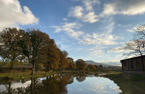 RedWood Lodge - Photo 36