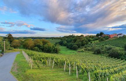 Vineyard Home 02 by GREEN Croatia - Foto 31