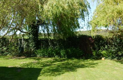 Elbe Ferien - Foto 32