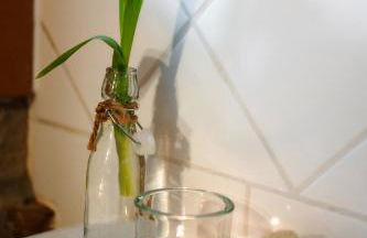 Romantische Ferienwohnung in Jugendstilvilla - Villa del Viento - Foto 7