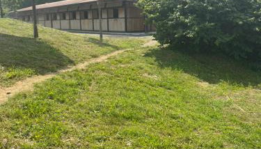 Agriturismo Villa San Lorenzo - Foto 4, Garden