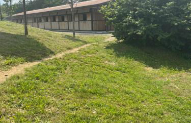 Agriturismo Villa San Lorenzo - Photo 4