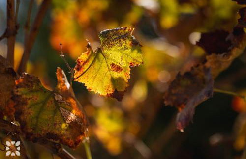 Villa Teresa by Abahana Villas - Foto 26