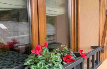 El Hoyaco - Photo 29