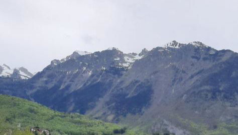 Primavera azzurra - Photo 3