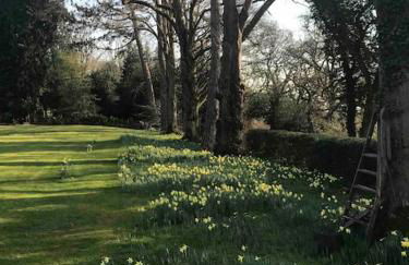 Log cabin rural retreat in beautiful countryside - Foto 2