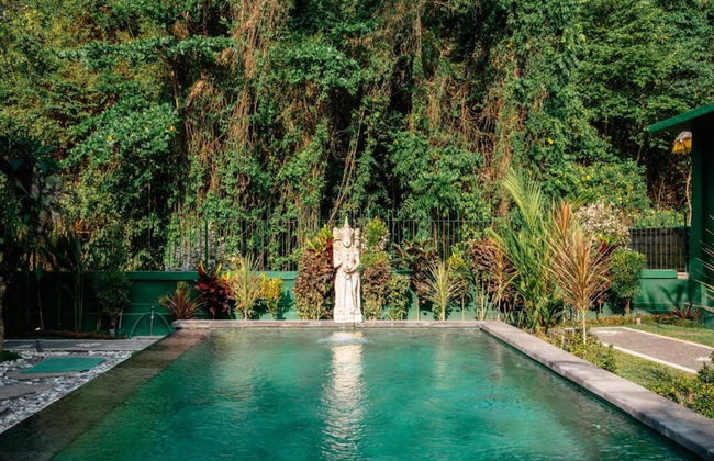 Luxury Villa Rose and Villa Rosebud - Foto 23