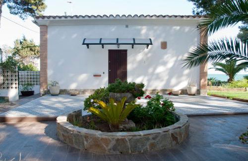 Sargantana Blava - Foto 53