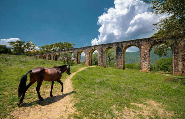 Excursão à antiga Fazenda San Juan Bautista - Foto 4