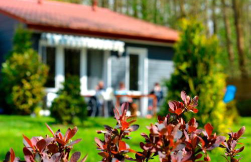 Babie Lato - Foto 23