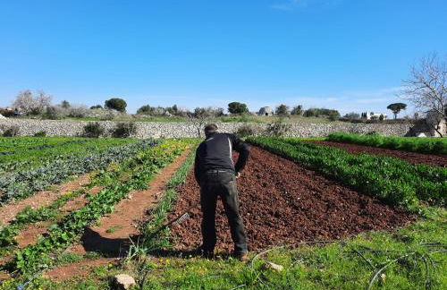 Masseria San Cosimo - Foto 35