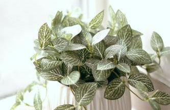 Charming Village Retreat in Washington - Foto 28