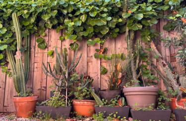 Design Appartment 100sqm close to Palais Beach and Restaurants - Foto 32