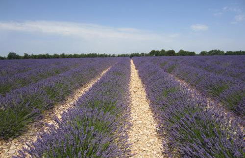 Les Gites De La Gassende - Foto 22