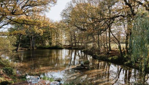 Charming picturesque cottage - nr Tenterden & Rye, pets welcomed - Foto 3, Garden