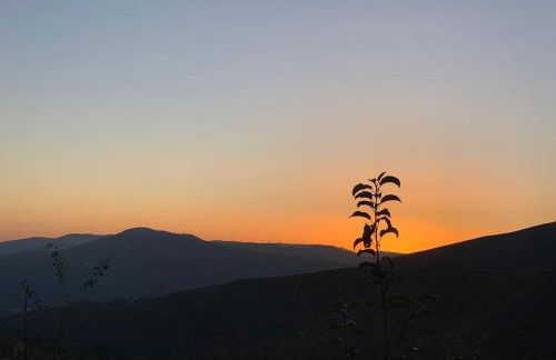 Casa do avô Serafim - Photo 15