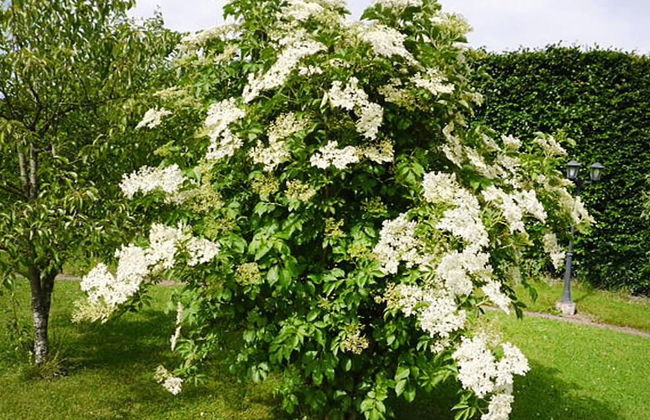 Apartment in Eifel Near Hiking Trails - Foto 24