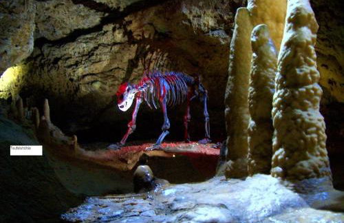 Luring Apartment in Plankenstein near Forest - Foto 78