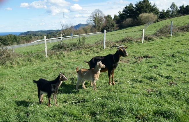 Casa Rural Arboliz - Photo 68