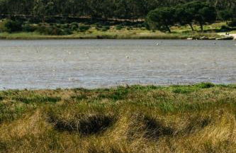 Rio do Prado - Foto 131