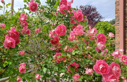 TRES TEULADES 8+1 - Foto 5