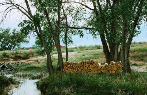 Cozy and Authentic Tipi Rental on Working Horse Ranch near Denver, Colorado - Foto 12