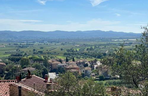 The 4 Senses Experience - Foto 51