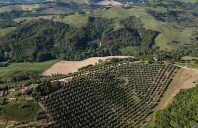 Agriturismo Serena -Petritoli- - Foto 6