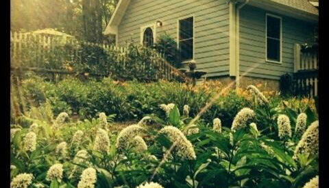 Private Cottage on Lookout Mountain - Foto 5