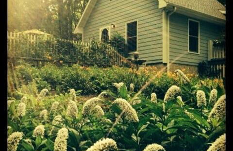 Private Cottage on Lookout Mountain - Foto 5