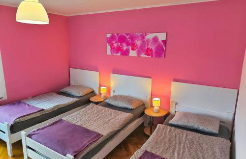 Discover the magic of nature - Foto 22