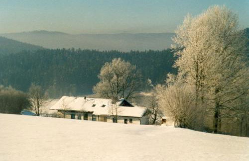 Geraeumige Wohnung fur 5 Personen in Drachselsried - Foto 4