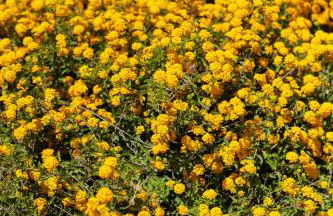 San Constantino Boutique Villa - Foto 71