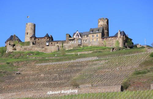 Ferienwohnungen im Moseltal - Foto 20