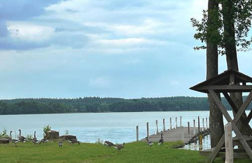 Ferienhaus Seeluft in Klein Labenz - Foto 80