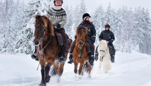 Private 10 guest Getaway Fire-Pit Golf Hike Ski Spa - Foto 5