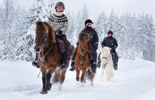 Private 10 guest Getaway Fire-Pit Golf Hike Ski Spa - Foto 5